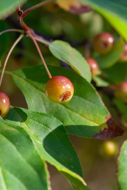 判出示红牌 判出示红牌