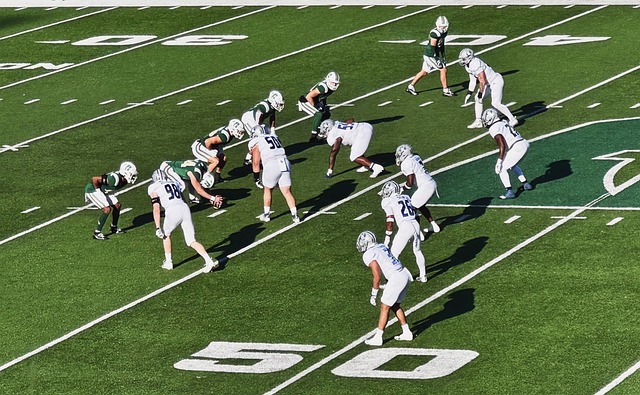 戈森斯生动 戈森斯生动