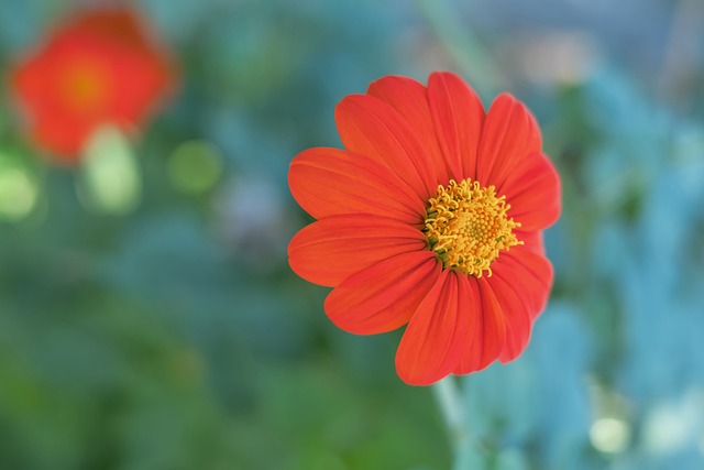 无疑是重要 无疑是重要