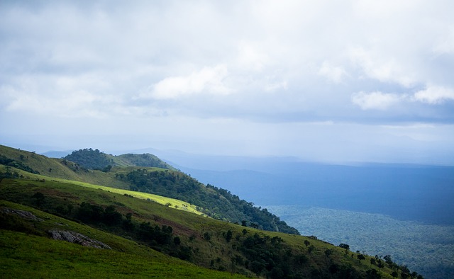 这一统计数 这一统计数