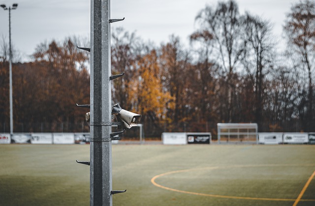 认知也逐步 认知也逐步